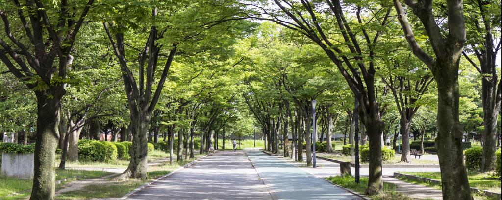 urban green